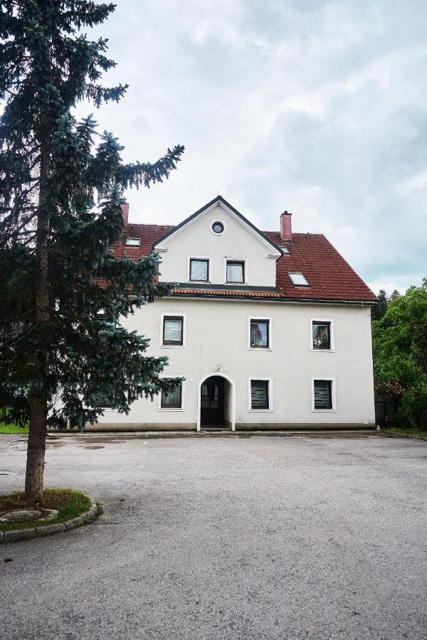 Matic Spacious Modern Apartment Ljubljana Dış mekan fotoğraf